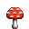 Champis rouges | Red mushroom